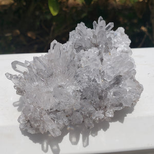 Elevated Calm Chrysanthemum Quartz