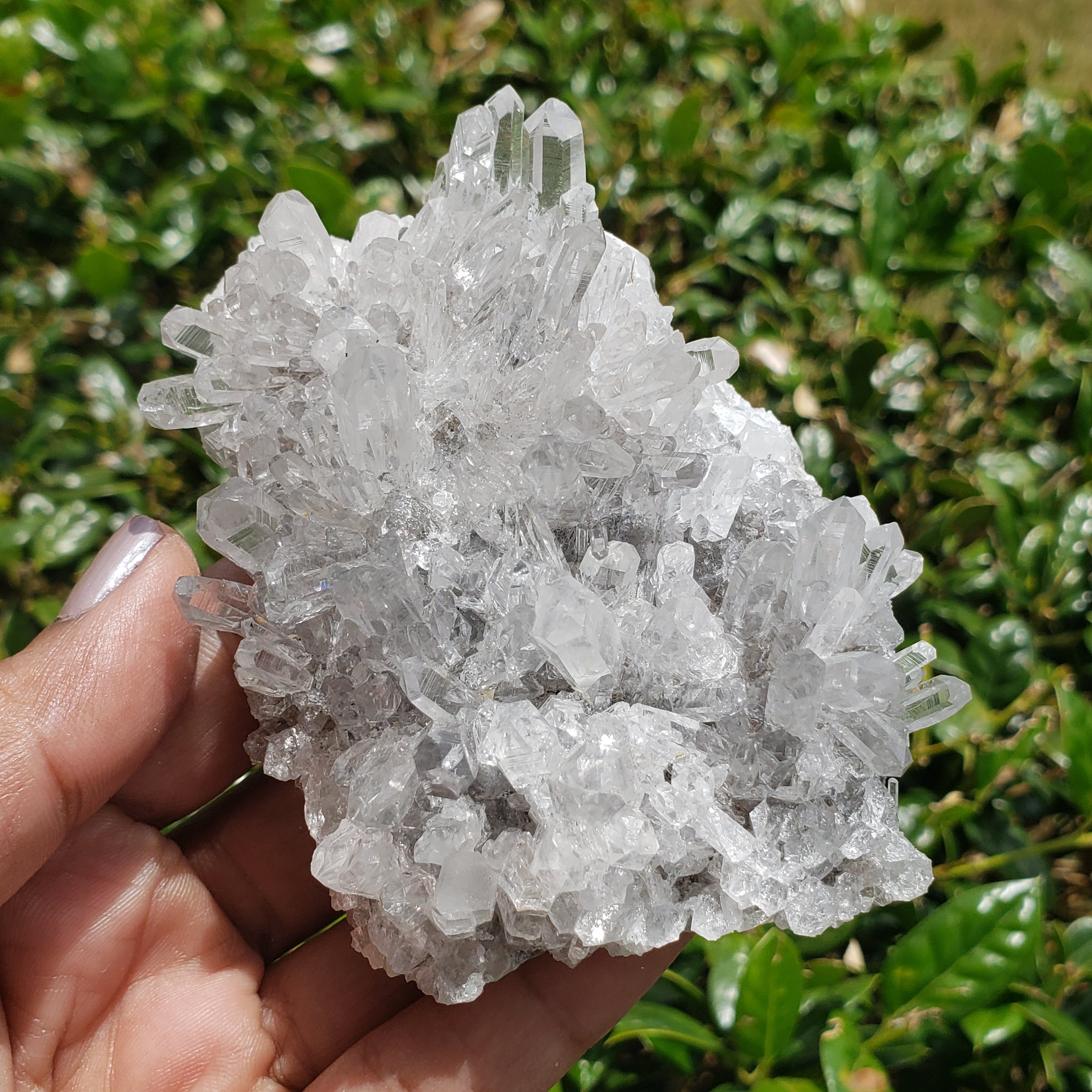 Elevated Calm Chrysanthemum Quartz
