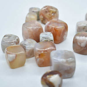 Flower Agate Cube