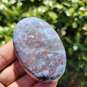 Elevated Calm Indian Agate Palm Stone