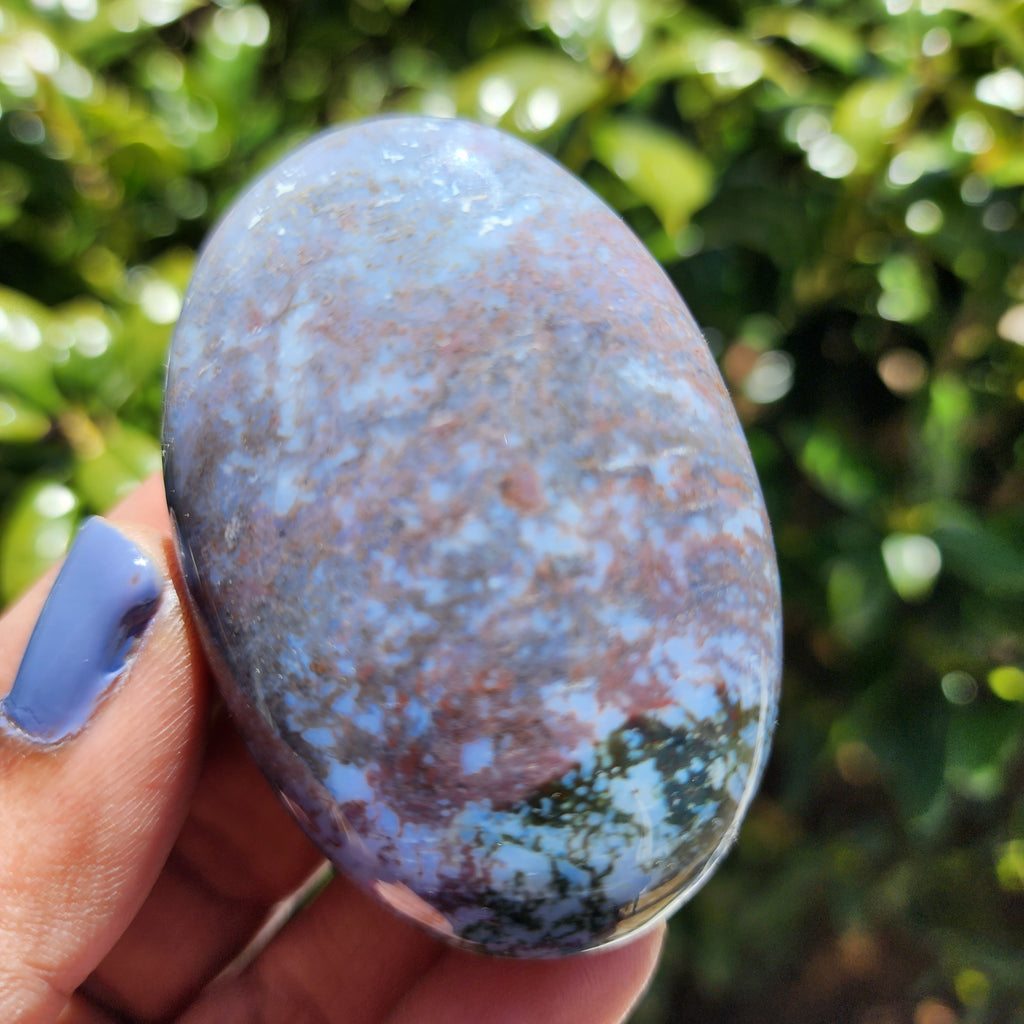 Elevated Calm Indian Agate Palm Stone