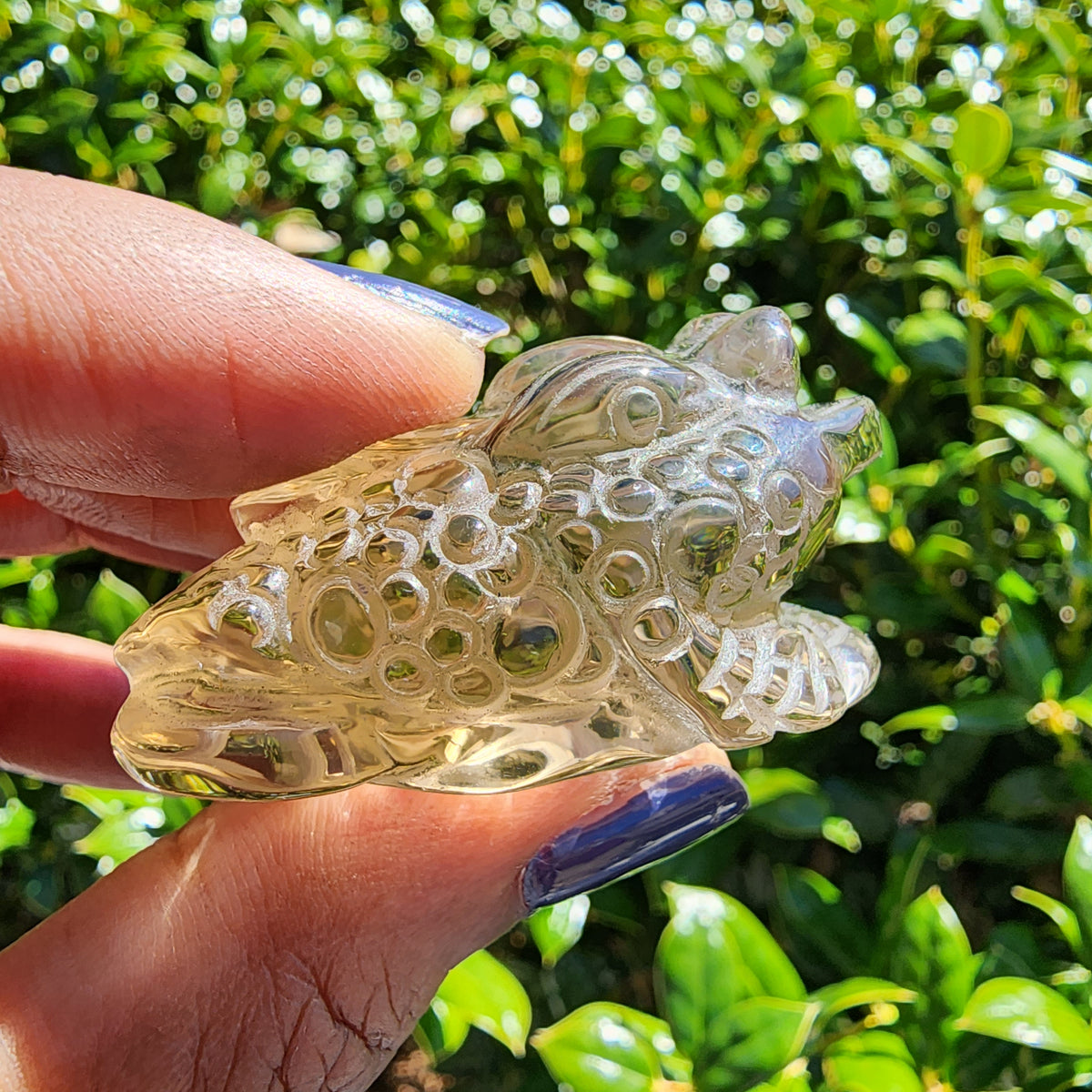 Smoky Quartz - Money Toad – Elevated Calm