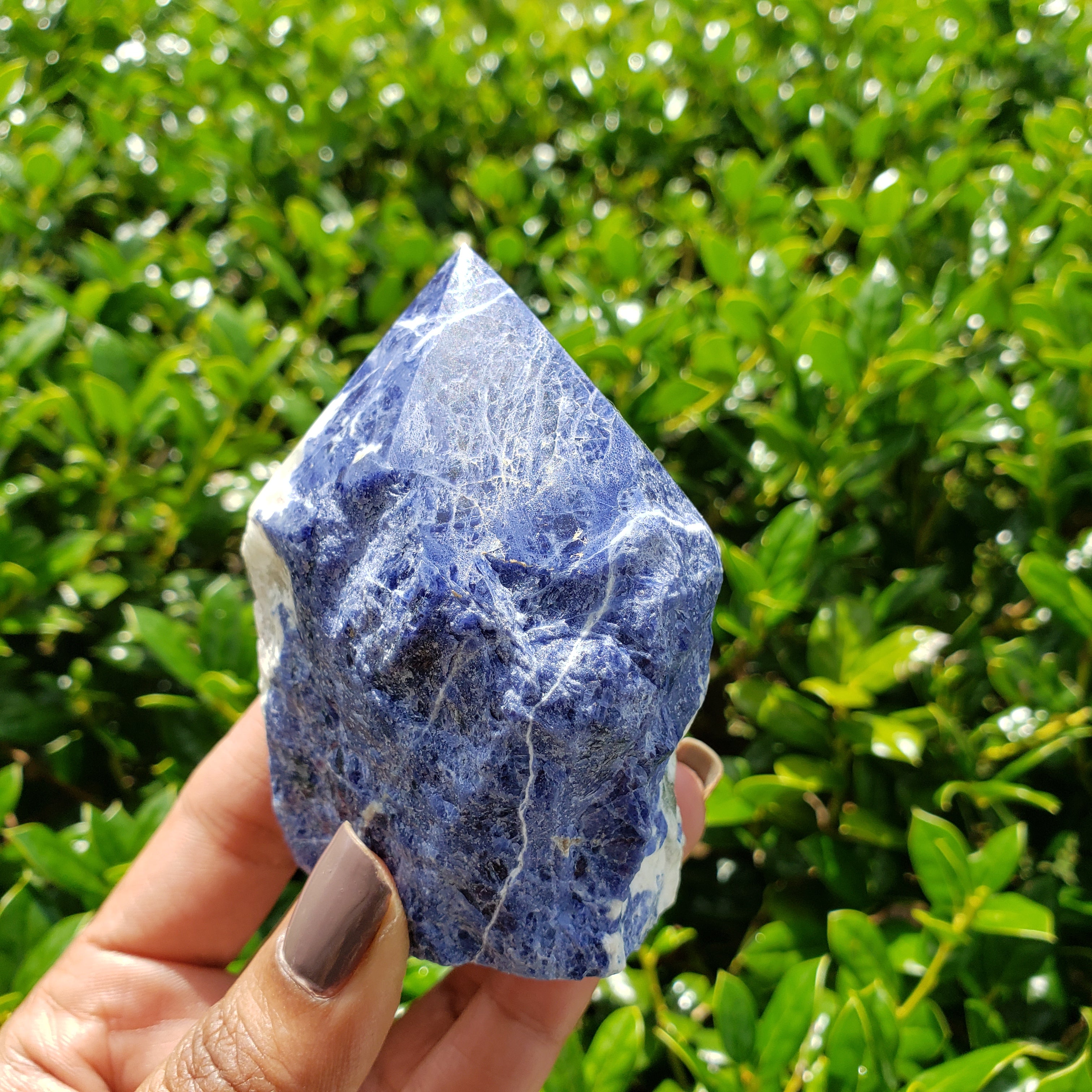 Elevated Calm Sodalite Top Polished Point