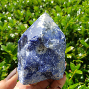 Elevated Calm Sodalite Top Polished Point